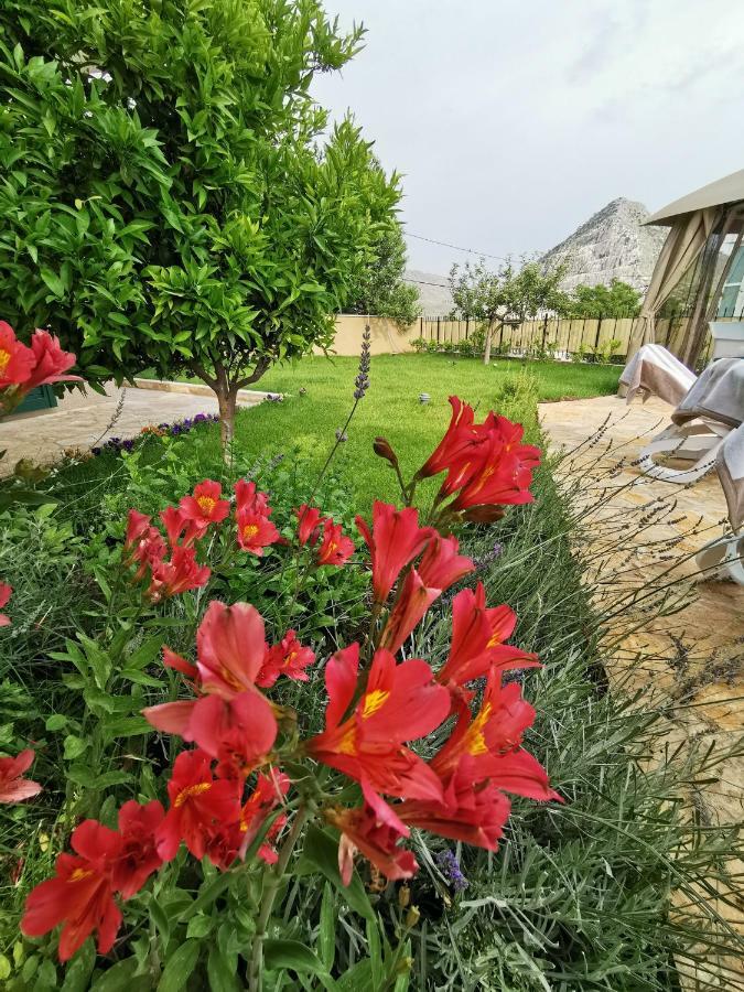 Villa Mater - Luxuriously Equipped Villa With A 15M Long Swimming Pool Žrnovnica Exterior foto